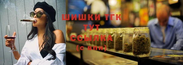 молекула духа Михайлов