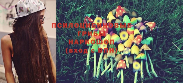 молекула духа Михайлов