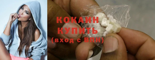 молекула духа Михайлов