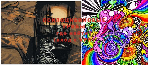 шишки Ачинск