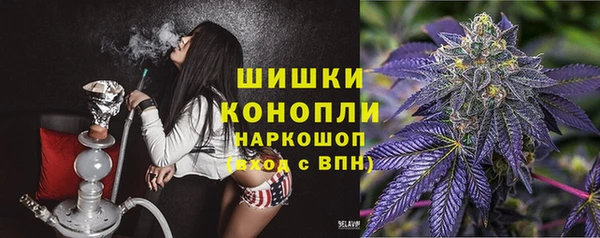 молекула духа Михайлов