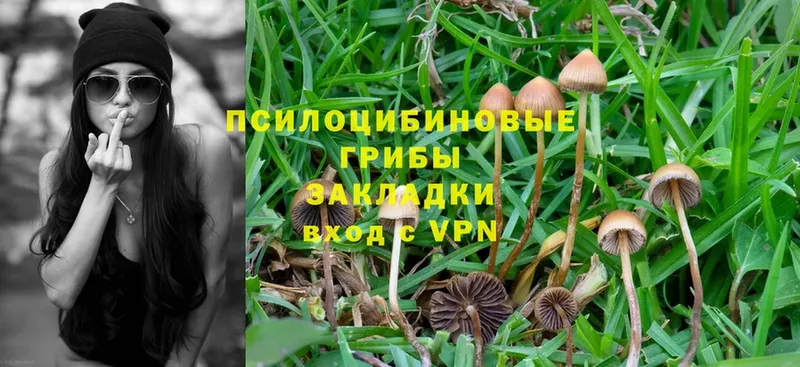 omg ТОР  Ленск  Псилоцибиновые грибы MAGIC MUSHROOMS 