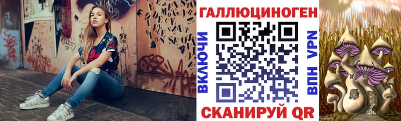 где найти наркотики Ленск Псилоцибиновые грибы мицелий